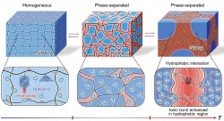 Mechanismus ztvrdnutí nového hydrogelu. Kredit: Nonoyama et al. (2019), Advanced Materials.