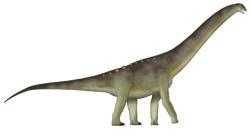 Největším dinosaurem, formálně popsaným v loňském roce, je titanosaurní sauropod druhu Bustingorrytitan shiva, žijící v době před asi 95 miliony let na území dnešní argentinské provincie Neuquén. Při odhadované hmotnosti kolem 67 tun mohl představovat jednoho z největších známých sauropodů vůbec. Kredit: UnexpectedDinoLesson; Wikipedia (CC0)