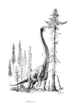 Dnes si brachiosauridy i jiné velké sauropody představujeme jako výlučně suchozemská zvířata s množstvím anatomických adaptací, pomáhajících jim v aktivním pohybu a obecně životu na souši. Kredit: Vladimír Rimbala, ilustrace hypotetického (i když ve skutečnosti neexistujícího) giganta „ultrasaura“ pro autorovu knihu Dinosauři – Rekordy a zajímavosti (nakl. Kazda, 2021).