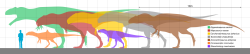 Grafické porovnání velikosti člověka a sedmi různých druhů karcharodontosauridních teropodů. Acrocanthosaurus atokensis (světle hnědá silueta) ani se svými obřími rozměry nepatřil k těm úplně největším. Kredit: Slate Weasel; Wikipedia (volné dílo). Grafické porovnání velikosti člověka a sedmi různých druhů karcharodontosauridních teropodů. Acrocanthosaurus atokensis (světle hnědá silueta) ani se svými obřími rozměry nepatřil k těm úplně největším. Kredit: Slate Weasel; Wikipedia (volné dílo).
