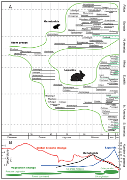 Fosilní záznam zajícovců a pišťuchovitých v průběhu geologického času – zde v závislosti na změnách globálního klimatu, průměrných teplot a změn ve složení atmosféry. Nápadná je výrazná evoluční diverzifikace zajícovců v období pozdního miocénu (přibližně v době před 15 až 10 miliony let). Kredit: Ge, D.; et al. (2013); Wikipedia (CC BY 4.0) Fosilní záznam zajícovců a pišťuchovitých v průběhu geologického času – zde v závislosti na změnách globálního klimatu, průměrných teplot a změn ve složení atmosféry. Nápadná je výrazná evoluční diverzifikace zajícovců v období pozdního miocénu (přibližně v době před 15 až 10 miliony let). Kredit: Ge, D.; et al. (2013); Wikipedia (CC BY 4.0)