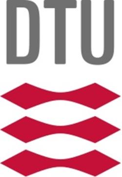 Logo Dánské technické university. Kredit: Danmarks Tekniske Universitet