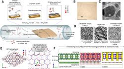 Syntéza a struktura sklofenu. Kredit: Iyengar et al. (2025), Advanced Materials.