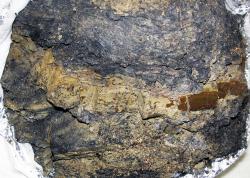 Detailní pohled na jílovou vrstvu obohacenou iridiem (světlejší pruh uprostřed), představující v geologickém záznamu jasný předěl mezi druhohorní a kenozoickou érou. Pochází z geologického souvrství Raton v Coloradu, má stáří 66,0 milionu let a souvisí úzce s katastrofickou událostí v podobě drtivého dopadu planetky na konci křídy. Kredit: James St. John; Wikipedia (CC BY 2.0) Detailní pohled na jílovou vrstvu obohacenou iridiem (světlejší pruh uprostřed), představující v geologickém záznamu jasný předěl mezi druhohorní a kenozoickou érou. Pochází z geologického souvrství Raton v Coloradu, má stáří 66,0 milionu let a souvisí úzce s katastrofickou událostí v podobě drtivého dopadu planetky na konci křídy. Kredit: James St. John; Wikipedia (CC BY 2.0)