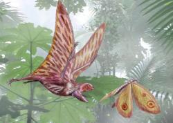 Ve filmu se krátce objeví také malý pozdně jurský pterosaur druhu Anurognathus ammoni. Tento trpaslík s rozpětím křídel kolem 35 cm a hmotností asi 40 gramů žil v době před 150 miliony let na území současného Bavorska a živil se nejspíš převážně hmyzem. Formálně byl popsán v roce 1923. Kredit: Dmitrij Bogdanov; Wikipedia (CC BY 3.0). Ve filmu se krátce objeví také malý pozdně jurský pterosaur druhu Anurognathus ammoni. Tento trpaslík s rozpětím křídel kolem 35 cm a hmotností asi 40 gramů žil v době před 150 miliony let na území současného Bavorska a živil se nejspíš převážně hmyzem. Formálně byl popsán v roce 1923. Kredit: Dmitrij Bogdanov; Wikipedia (CC BY 3.0).