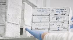 Zmrazený experiment s fágy před cestou do vesmíru. Kredit: Paul Escalante. Zmrazený experiment s fágy před cestou do vesmíru. Kredit: Paul Escalante.