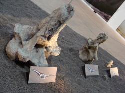 V současnosti považují paleontologové futaloňkosaura za středně velkého až velkého titanosaurního sauropoda. I když vážil možná jen polovinu toho, co jeho rekordní příbuzný Argentinosaurus huinculensis, přesto musel být pohled na takovouto „kráčející horu“ přímo fantastický. Kredit: Slate Weasel; Wikimedia Commons (volné dílo)
