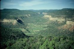 Pohled z paleontologické lokality Dry Mesa Quarry v jihozápadní části Colorada, místa objevu typového exempláře druhu Supersaurus vivianae. Dobře patrný je kaňon Escalante. Podobný pohled se v 70. a 80. letech minulého století nabízel Jamesi A. („Jimu“) Jensenovi a jeho týmu při vykopávkách v místních sedimentech pozdně jurského stáří. Kredit: Dean R. Richmond; Wikipedia (volné dílo)