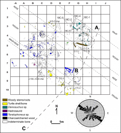 Podrobná mapa lokality se zakreslenými kosterními prvky teratofoneů (modrá barva). Z místa uložení fosilních kostí i dalších zkamenělých objektů je patrné, že pohřbení živočichové zde zahynuli při jakési živelné pohromě, mající nejspíš podobu mohutných záplav. Kredit: Titus, et al. (2021); Wikipedia (CC BY 4.0)