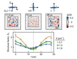 Přímé zobrazení kvantových fluktuací. Kredit: Zhang et al. (2026), arXiv.