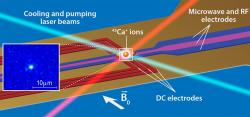 Ilustrace qubitu z uvězněného iontu vápníku. Kredit: APS/Alan Stonebraker.
