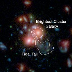 Montáž centrální části kupy SpARCS1049+56 vznikla kombinací snímků Spitzera a Hubblea. Jasná část klastru označená kroužkem je místem intenzivní hvězdotvorby. Nepravidelně je vyznačena oblast mezihvězdného plynu, který se šíří do kosmického prostoru poháněn tlakem záření nových hvězd a částečně i v důsledku slapových sil galaktické fúze.  Kredit: NASA/STScI/ESA/JPL-Caltech/McGill