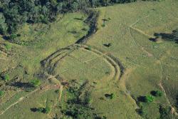 Geoglyf v Amazonii. Kredit: J. Watling.