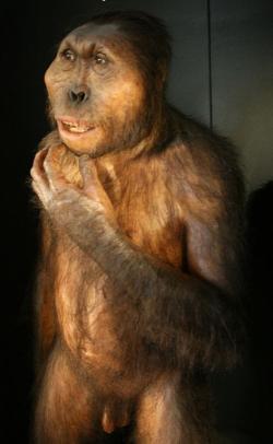 Paranthropus boisei v celé své kráse. Kredit: Nachosan / Wikimedia Commons.