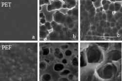 Snímky z rastrovacího elektronového mikroskopu – horní řádek vzorek PET: a/ povrch PET ; b/ po 96 hodinovém působení přírodní PETázy; c/ po 96 hod. působení upravené PETázy. Spodní řádek – to samé, ale s lépe degradovatelným PEF (polyetylén furanoát) Podrobnější snímky i informace  - viz. originální článek   http://www.pnas.org/content/early/2018/04/16/1718804115