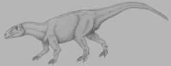 Přibližně takto si čínský paleontolog Tung Č’-ming představoval xuanhanosaura, kterého formálně popsal v roce 1984. Podle jeho názoru se mělo jednat o jediného známého kvadrupedního teropoda. Dnes už je však tato pozoruhodná hypotéza vyvrácena. Kredit: Ghedo; Wikipedia (CC BY-SA 4.0)