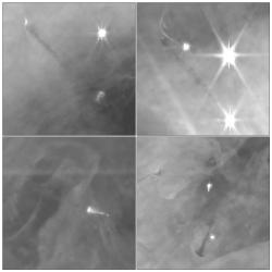 Temné stíny u protoplanetárních výtrysků hmoty. Kredit: NASA, ESA, CSA / Science leads and image processing: M. McCaughrean, S. Pearson.