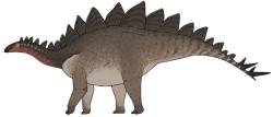 Yanbeilong ultimus je jedním z nejmladších známých zástupců kladu Stegosauria. Není jisté, kdy přesně žil, pravděpodobně se ale jednalo o geologický věk alb, tedy dobu před 113,0 až 100,5 miliony let. Objev tohoto čínského druhu potvrzuje již dříve předpokládanou možnost, že stegosauři žili přinejmenším až do období přelomu rané a pozdní křídy, a existovali tedy jako vývojová skupina celkově přinejmenším 70 milionů let. Kredit: Ddinodan; Wikipedia (CC BY 4.0)