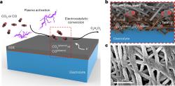 Koncept elektrokatalýzy plazmaticky aktivovaného CO2. Kredit: Kim et al. (2026), Nature Catalysis.