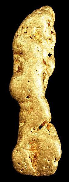 Velký nuget zlata z Aljašky. Kredit: Robert M. Lavinsky / Wikimedia Commons
