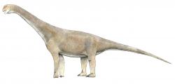 Rekonstrukce přibližného vzezření makronarijního sauropoda druhu Tehuelchesaurus benetezii, žijícího v období pozdní jury na území dnešní Argentiny. Tento druh byl pravděpodobně jedním z nejbližších známých příbuzných evropského haestasaura, i když byl celkově větší a žil dříve. Kredit: Levi bernardo; Wikipedia (CC BY-SA 3.0)
