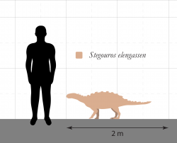 Stegouros elengassen byl velmi malým ankylosauridem, při délce kolem 2 metrů nevážil více než asi 100 kilogramů. Obýval území dnešního státu Chile v období pozdní křídy, asi před 75 až 72 miliony let. Kredit: SlvrHwk; Wikipedia (CC BY-SA 4.0)
