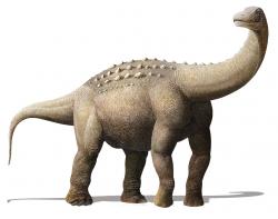 Titanosaurní sauropod druhu Yamanasaurus lojaensis, formálně popsaný roku 2019 z ekvádorského souvrství Río Playas. Tento zástupce čeledi Saltasauridae se stal prvním neptačím dinosaurem popsaným ze zmíněného státu a při svém stáří 66,9 milionu let představuje jednoho z nejmladších sauropodů, známých z Jižní Ameriky. Patří tak k množství nových druhů, které poněkud nabourávají představu, že se dinosauří biodiverzita na konci křídy razantně snížila. Kredit: Prehistopia; Wikipedia (CC BY-SA 4.0)