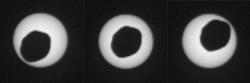 Zatmění Slunce na Marsu měsícem Phobos. Kredit: NASA/JPL-Caltech/Malin Space Science Systems/Texas A&M Univ.