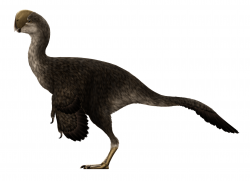 Výtvarná rekonstrukce vzezření menšího opeřeného teropoda druhu Oviraptor philoceratops, pravděpodobného původce fosilních vajec, používaných neolitickými obyvateli pouště Gobi k výrobě náhrdelníků nebo jiných přívěsků. Tento všežravý dinosaurus o velikosti současného nandu až kasuára žil v období pozdní křídy, asi před 75 až 71 miliony let. Kredit: PaleoNeolitic; Wikipedia (CC BY 4.0)