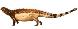 Výtvarná rekonstrukce přibližného vzezření ankylosaurida druhu Pinacosaurus grangeri. Tento středně velký tyreofor dosahoval délky asi 4 až 5 metrů a hmotnosti přibližně kolem 1,5 tuny. Stejně jako ostatní ankylosauridi disponoval kostěným kyjem na konci ocasu, který mu sloužil jako obrana před útočícími teropody. Kredit: Jack Mayer Wood; Wikimedia Commons (CC BY-SA 4.0)