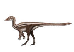 Území Afriky není zdaleka tak dobře prozkoumané jako Evropa nebo Severní Amerika, přesto už z tohoto kontinentu známe více než stovku dinosauřích druhů. Jedním z nich je malý (pravděpodobně ornitomimosaurní) teropod druhu Nqwebasaurus thwazi, objevený v geologickém souvrství Kirkwood na území Jihoafrické republiky, a formálně popsaný v roce 2000. Kredit: J-H. Jang; Wikimedia Commons (CC BY-SA 4.0)