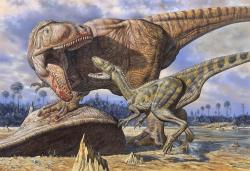 Carcharodontosaurus byl dominantním predátorem svých ekosystémů, nebyl ale jediným velkým teropodem na severu Afriky v době před 100 miliony let. Obojživelným protějškem mu byl ještě většíSpinosaurus, přímým konkurentem pak mohl být Deltadromeus (menší teropodní dinosaurus na obrázku). Ačkoliv se hmotnost karcharodontosaurů udává obvykle okolo 6 tun, nejvyšší odhady dosahují až dvojnásobku. Kredit: Mark Hallet, 1996 (pův. název Thunder in the Delta)