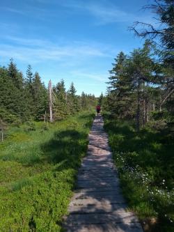 Česká krajina je moc pěkná, měli bychom si ji chránit. Environmentální kritéria by měla být nadřazena nad zjednodušeným bojem proti emisím uhlíku a za co nejvyšší podíl obnovitelných zdrojů. Jizerská magistrála – část treku okolo Česka. (Foto Vladimír Wagner)