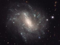 Jedna z galaxií zahrnutých do výzkumu Riessova týmu. Kredit: NASA, ESA & A. Riess (STScI/JHU).
