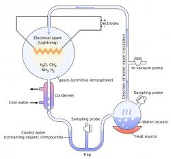 Notoricky známý Miller-Ureyův experiment z roku 1953. Kredit: YassineMrabet / Wikimedia Commons.