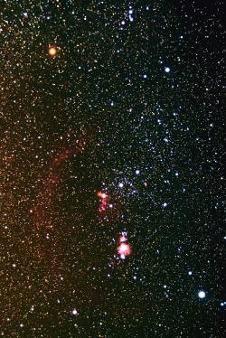 Betelgeuse se v Orionu nedá přehlédnout. Kredit: Tom Montemayor / University of Texas.