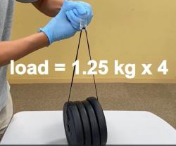 Po rozstřižení a opětovné samovolné regeneraci dokáže malá destička z kaučuku bez roztržení unést 5 kg zátěž (video ke stažení zde).  Kredit: Haobing Wang et al., Angewandte Chemie, 2022