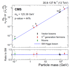 Graf 2) Závislost síly interakce částice s Higgsovým polem na hmotnosti částice v log-log měřítku. Body s nejistotami jsou experimentální hodnoty a přerušovaná čára ukazuje předpověď Standardního modelu hmoty a interakcí. V dolní části je ukázán poměr mezi experimentální hodnotou a předpovědí Standardního modelu (zdroj JHEP01(2021)148)