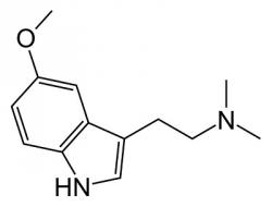 5-MeO-DMT. Kredit: Harbin.