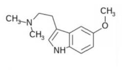 Struktura 5-MeO-DMT. Nakresleno v BKchem