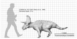 Rohatý dinosaurus druhu Turanoceratops tardabilis byl formálně popsán v roce 1989 ze sedimentů geologického souvrství Bissekty. Je tak jedním ze šestnácti dnes známých vědecky platných dinosauřích druhů z území Uzbekistánu. Kredit: Teratophoneus/Paleocolour; Wikipedia (CC BY-SA 3.0)