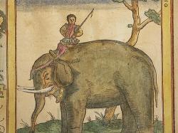 Slon ze Sumatry, Cosmographia 1544. Wikimedia Commons.