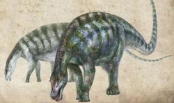 Rekonstrukce pravděpodobného vzezření nejstaršího známého neosauropoda, který dostal vědecké jméno Lingwulong shenqi. Tento asi 15 metrů dlouhý dinosaurus dokazuje, že vyspělejší vývojové skupiny sauropodů se na Zemi objevily asi o 15 milionů let dříve, než se dosud předpokládalo. Kredit: Zhang Zongda