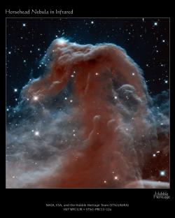 Tsíc světelných let od Země se pod pásem Orionu nachází hvězda Sigma Orionis. Vlastně jde o pětičlenný hvězdný systém o svitivosti 75 000 sluncí! Osvětluje rozlehlý oblak chladnějšího vodíkového plynu, který jsme díky jeho tvaru pojmenovali mlhovina Koňská hlava. Stejně jako Pilíře stvoření ani toto dechberoucí divadlo nepotrvá věčně.  Zdroj: http://hubblesite.org/