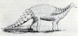 Dnes již silně zastaralá rekonstrukce nodosaurida druhu Struthiosaurus transylvanicus, kterou Nopcsa publikoval ve válečném období roku 1915. I v této pohnuté a kritické době dokázal aktivní válečný špion vědecky pracovat. Zdroj: Wikipedie