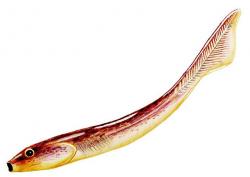 Rekonstrukce záhadné malé devonské ryby Palaeospondylus gunni, jejíž tělo je doslova puzzlem nesourodých znaků z jakoby různých vývojových období. Kredit:  Smokeybjb, Wikipedia, CC 3.0