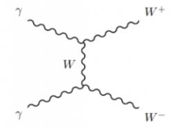 Jeden z nejjednodušších Feynmanových diagramů nepružného rozptylu fotonů s produkcí páru záporného a kladného bosonu W (zdroj: experiment ATLAS).