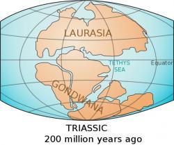 Rozložení kontinentů v triasu, před 200 miliony let. Kredit: USGS.