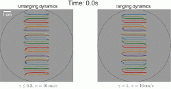 Krátká animace pohybů žížalic na základě vytvořeného matematického modelu. Vlevo simulace rozplétání vpravo vzájemného splétání do chuchvalce.  Kredit: Bhamla lab, Georgia Tech      https://bhamla.gatech.edu/