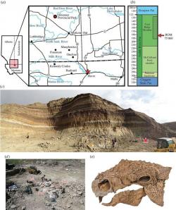 Mapka s místem objevu, fotografie lokality a vypreparovaná lebka ankylosaurida druhu Zuul crurivastator, poměrně velkého obrněného dinosaura z pozdní křídy americké Montany. Své rodové jméno odvozuje tento tyreofor od filmové postavy ze snímku Krotitelé duchů. Kredit: Victoria M. Arbour, David C. Evans; Wikipedie (CC BY 4.0)